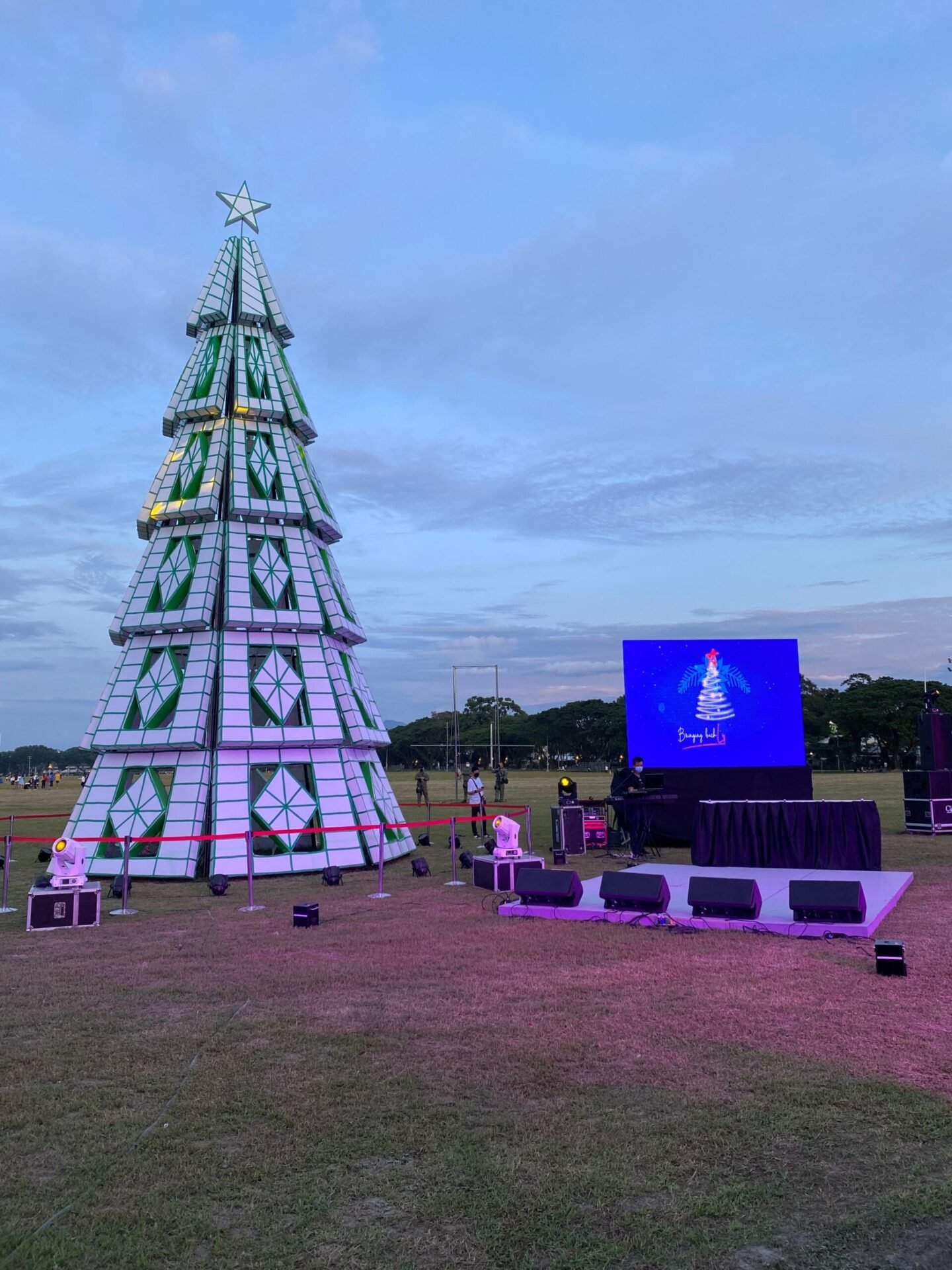 The Wonderful Clark Christmas Trees Pampanga News Now